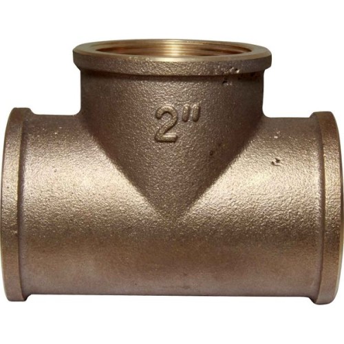 Bronze T 2