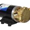 Pompe Jabsco Water Puppy 12V