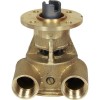Johnson Neoprene Impeller Cooling Pump 10-24119-2
