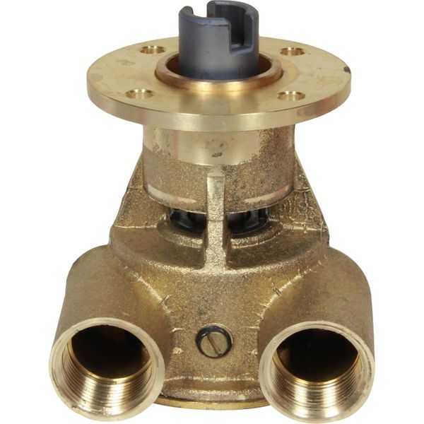 Johnson Neoprene Impeller Cooling Pump 10-24119-2