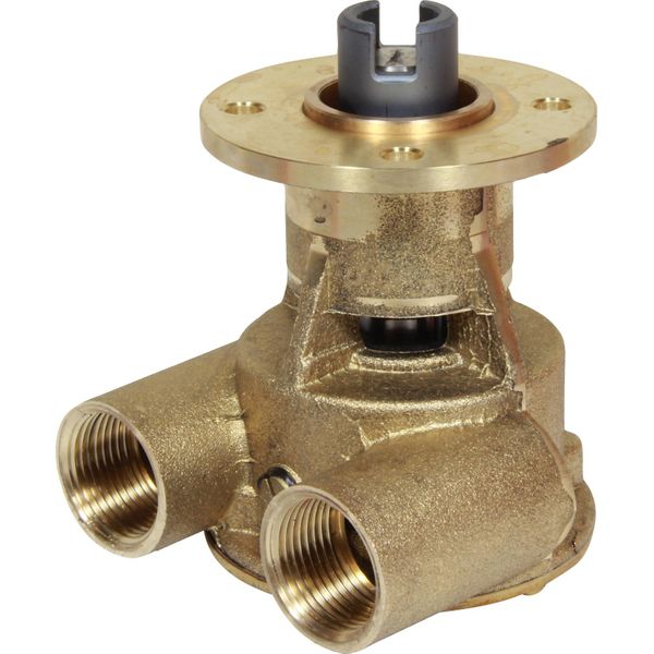 Johnson Neoprene Impeller Cooling Pump 10-24119-2