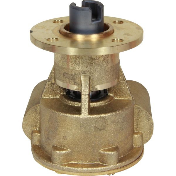 Johnson Neoprene Impeller Cooling Pump 10-24119-2