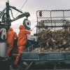 H/H WW Mandal Zeiljack 290 Oranje XS