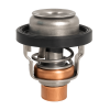 Termostater för Suzuki-motorer äkta 17670-90J20(21) kodmotor DF100/300