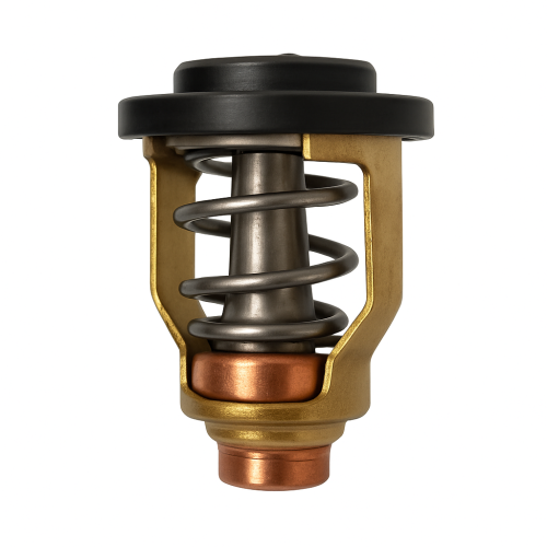 Suzuki Outboard Motor Thermostat DF100/300 Replacement
