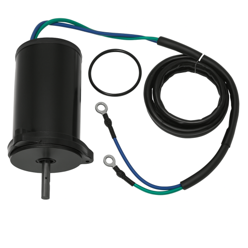Yamaha Outboard Trim Motor 6C5-43880-01 (F40/F60) Yamaha Outboard Trim Motor 6C5-43880-01 (F40/F60)